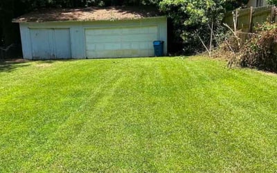 Photo of Apryl S.'s yard after getting lawn care in Salinas, CA