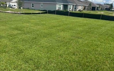 Photo of Socorro G.'s yard after getting lawn care in Lindenhurst, NY