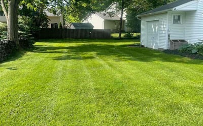 Photo of Carol C.'s yard after getting lawn care in Willoughby, OH