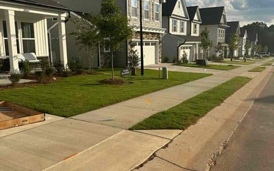 Photo of Carl T.'s yard after getting lawn care in Pell City, AL