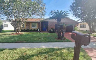 Photo of Adam H.'s yard after getting lawn care in Altamonte Springs, FL