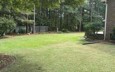 Photo of Kody A.'s yard after getting lawn care in Summerville, SC
