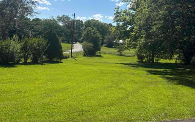 Photo of Katie C.'s yard after getting lawn care in Virginia Beach, VA