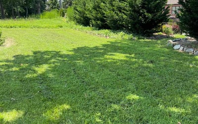 Photo of Claire R.'s yard after getting lawn care in Corinth, TX