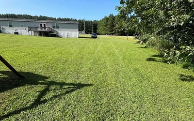 Photo of Linda H.'s yard after getting lawn care in Rocky Mount, NC