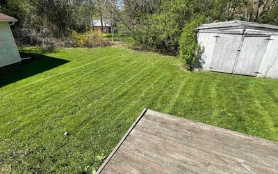 Photo of Jonathan G.'s yard after getting lawn care in Salem, IN