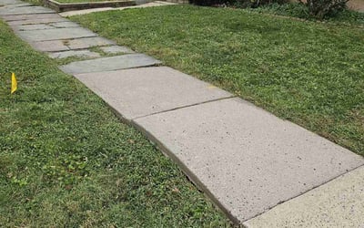 Photo of Ian M.'s yard after getting lawn care in Roselle Park, NJ
