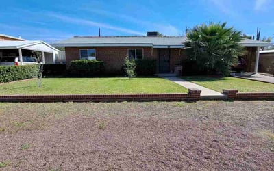 Photo of Andrew D.'s yard after getting lawn care in Tucson, AZ
