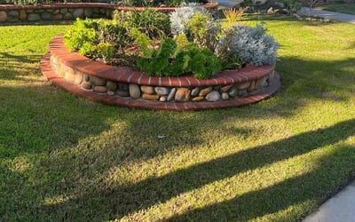 Photo of Dewayne W.'s yard after getting lawn care in Bellflower, CA