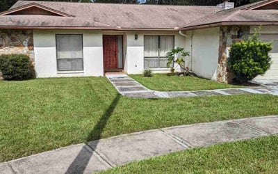 Photo of Chia T.'s yard after getting lawn care in Lutz, FL