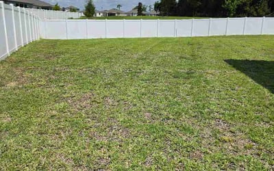 Photo of Daphne J.'s yard after getting lawn care in Travelers Rest, SC