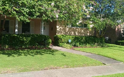 Photo of Aaron C.'s yard after getting lawn care in Visalia, CA