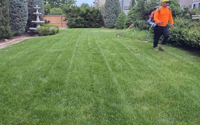 Photo of Brittany B.'s yard after getting lawn care in Pueblo, CO