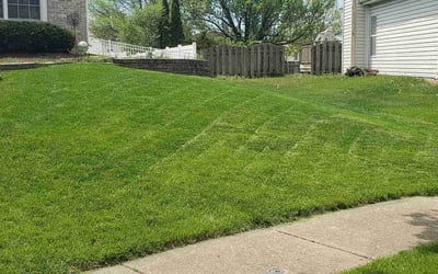 Photo of Jennifer G.'s yard after getting lawn care in Carol Stream, IL