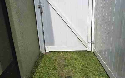 Photo of Weichen T.'s yard after getting lawn care in Reno, NV