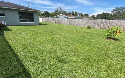 Photo of Balladeen M.'s yard after getting tree care in Tarpon Springs, FL