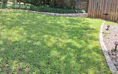 Photo of Renee C.'s yard after getting lawn care in Schertz, TX
