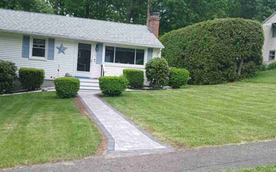 Photo of Shirley F.'s yard after getting lawn care in Royse City, TX