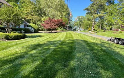 Photo of Trish B.'s yard after getting lawn care in Bethesda, MD