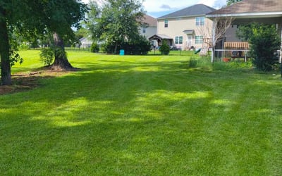 Photo of Brian S.'s yard after getting lawn care in Pinckney, MI
