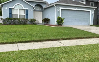 Photo of Rebecca R.'s yard after getting lawn care in Lehigh Acres, FL