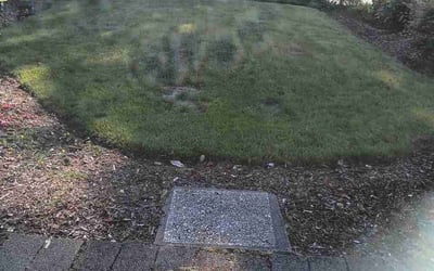 Photo of Lurline F.'s yard after getting lawn care in Newport, KY