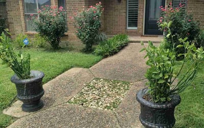 Photo of Patricia A..'s yard after getting lawn care in Cleburne, TX