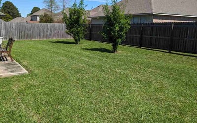 Photo of Hakeem J.'s yard after getting lawn care in Saint Martinville, LA