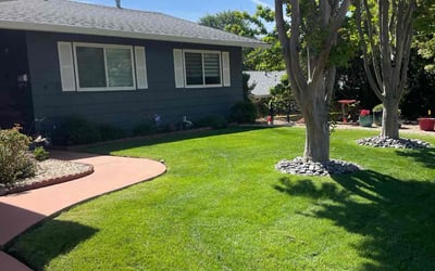 Photo of Sheila B.'s yard after getting lawn care in Orangevale, CA