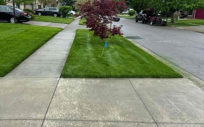 Photo of Troy B.'s yard after getting lawn care in Depew, NY