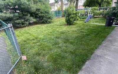 Photo of Jolanda S.'s yard after getting lawn care in Westwood, NJ