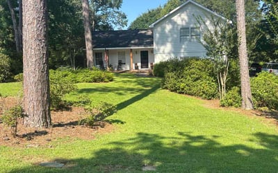 Photo of Gina H.'s yard after getting lawn care in Meriden, CT