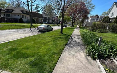 Photo of Angela A.'s yard after getting lawn care in Des Plaines, IL
