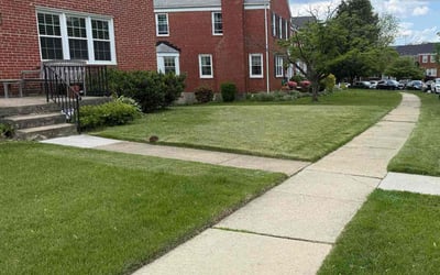 Photo of William B.'s yard after getting lawn care in Towson, MD