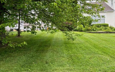 Photo of Genene L.'s yard after getting lawn care in Hackettstown, NJ