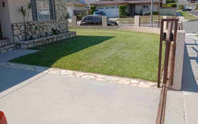 Photo of Donna K.'s yard after getting lawn care in Central, SC