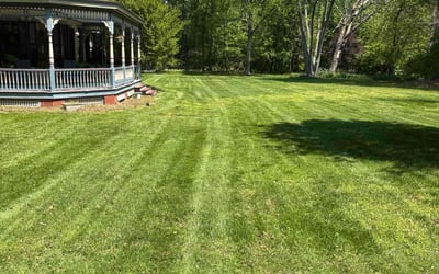 Photo of Charles B.'s yard after getting lawn care in Riverdale, MD