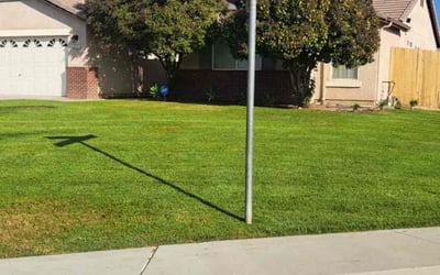 Photo of Iyanu D.'s yard after getting lawn care in Rosamond, CA