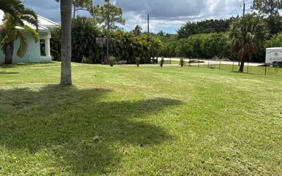 Photo of Michael N.'s yard after getting lawn care in Fort Collins, CO