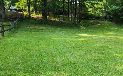 Photo of Melinda F.'s yard after getting lawn care in Phoenix, AZ