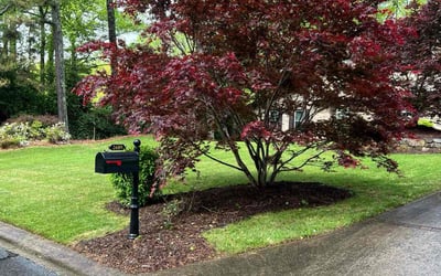 Photo of Robert R.'s yard after getting lawn care in Gastonia, NC
