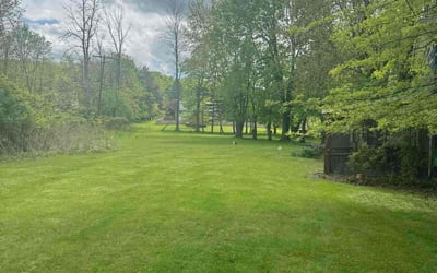 Photo of Maysi H.'s yard after getting lawn care in Pittsford, NY