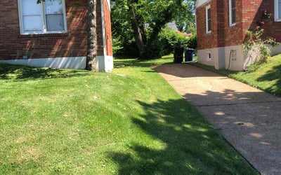 Photo of Mary B.'s yard after getting lawn care in Miamisburg, OH