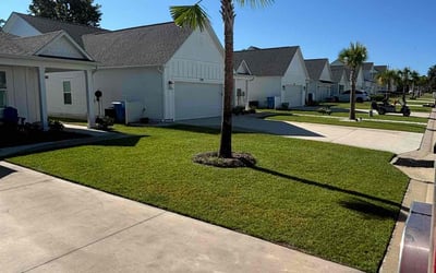 Photo of Raul A.'s yard after getting lawn care in Panama City Beach, FL