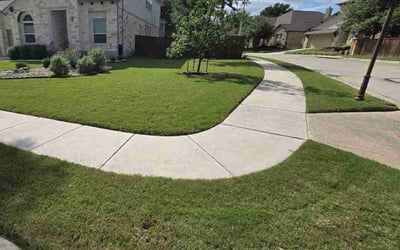 Photo of Alicia S.'s yard after getting lawn care in Modesto, CA