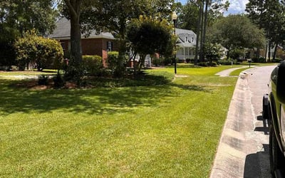 Photo of Jason E.'s yard after getting lawn care in Council Bluffs, IA