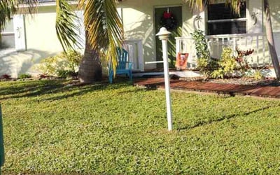 Photo of Ryan N.'s yard after getting lawn care in Jensen Beach, FL