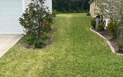 Photo of Michelle M.'s yard after getting lawn care in St Johns, FL