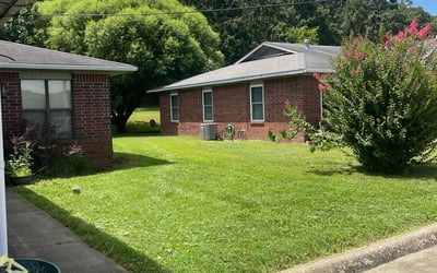 Photo of Minsoo G.'s yard after getting lawn care in Kirkland, WA