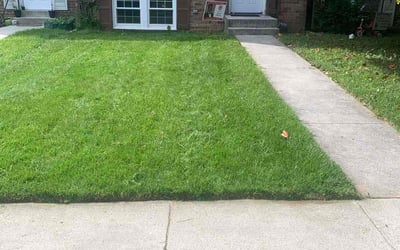 Photo of Anthony G.'s yard after getting lawn care in Owings Mills, MD